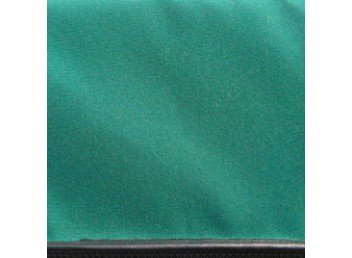 Forest Green Buggy Top Color